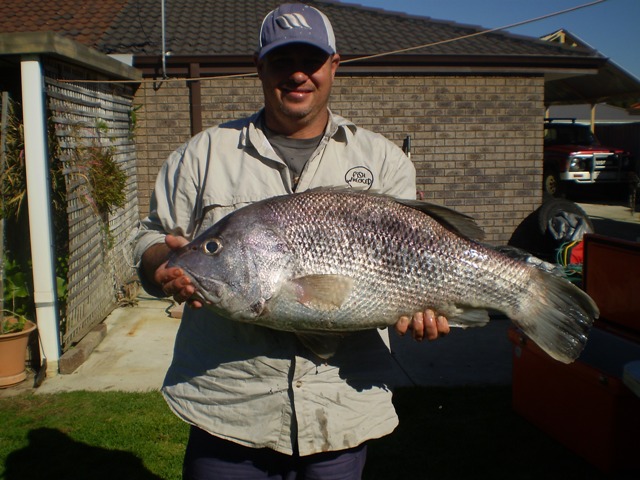 biggest dhu 11kg